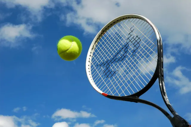 Tenis görseli 1